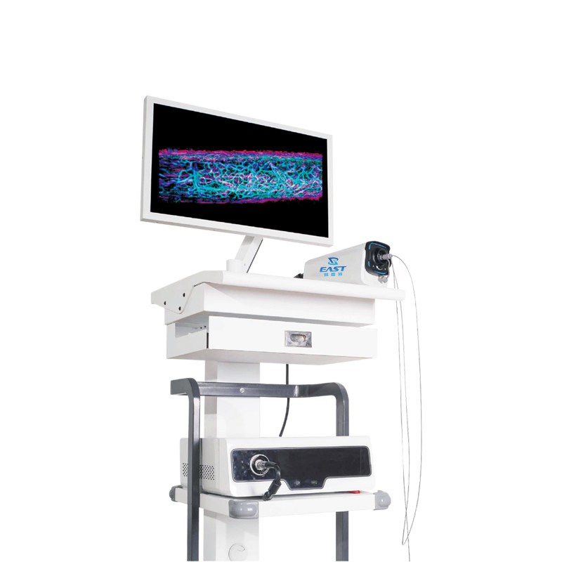 Animal Multimodal Microcatheter Endoscope Imaging System